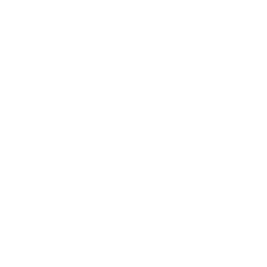 SDVOSB certified